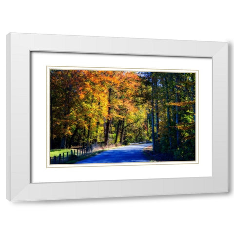 Twisting Autumn Road II White Modern Wood Framed Art Print with Double Matting by Hausenflock, Alan