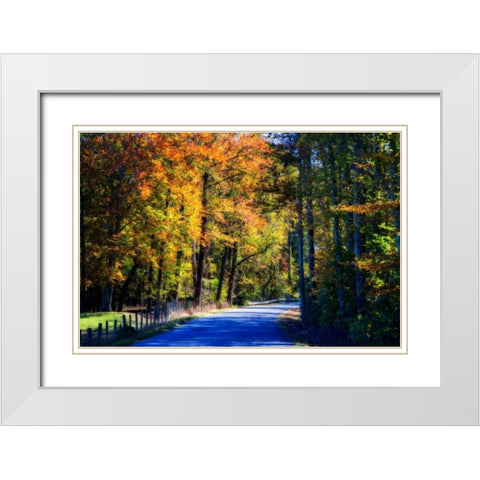 Twisting Autumn Road II White Modern Wood Framed Art Print with Double Matting by Hausenflock, Alan