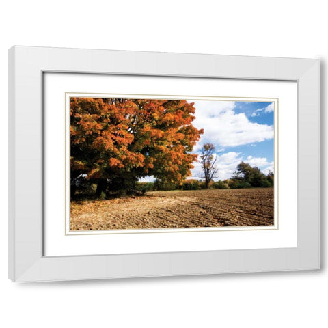 Autumn Scene II White Modern Wood Framed Art Print with Double Matting by Hausenflock, Alan