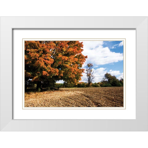 Autumn Scene II White Modern Wood Framed Art Print with Double Matting by Hausenflock, Alan