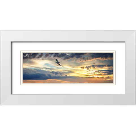 Gull Above the Sea I White Modern Wood Framed Art Print with Double Matting by Hausenflock, Alan