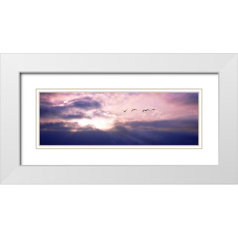 Pelicans Above the Bay White Modern Wood Framed Art Print with Double Matting by Hausenflock, Alan