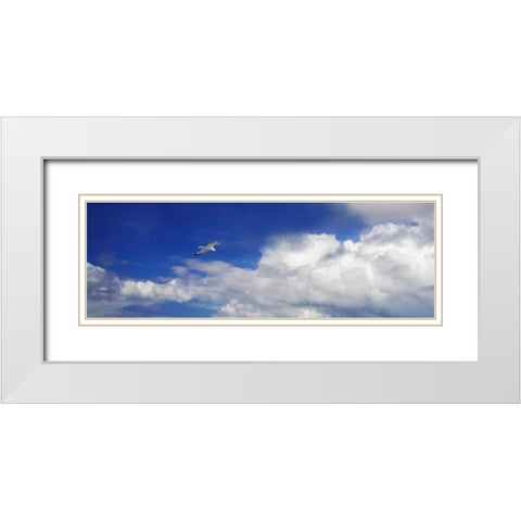 Gull Above the Sea II White Modern Wood Framed Art Print with Double Matting by Hausenflock, Alan