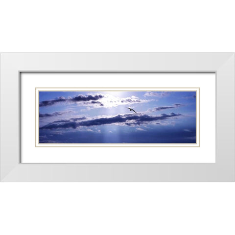 Gull Above the Sea III White Modern Wood Framed Art Print with Double Matting by Hausenflock, Alan