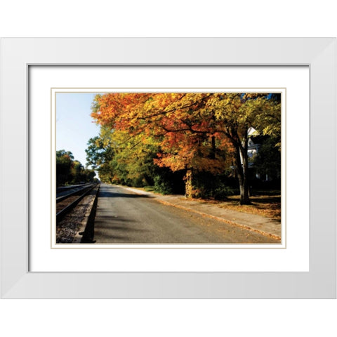 Ashland White Modern Wood Framed Art Print with Double Matting by Hausenflock, Alan