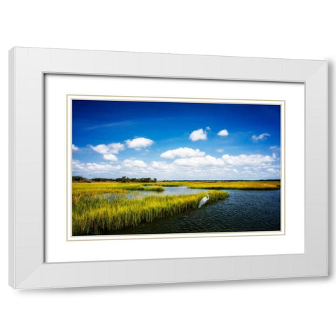 Wetland Herons II White Modern Wood Framed Art Print with Double Matting by Hausenflock, Alan