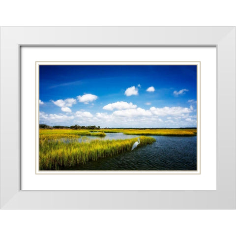 Wetland Herons II White Modern Wood Framed Art Print with Double Matting by Hausenflock, Alan