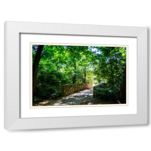 Shaded Bridge I White Modern Wood Framed Art Print with Double Matting by Hausenflock, Alan