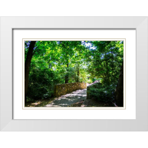 Shaded Bridge I White Modern Wood Framed Art Print with Double Matting by Hausenflock, Alan