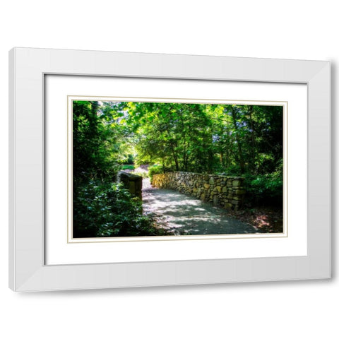 Shaded Bridge II White Modern Wood Framed Art Print with Double Matting by Hausenflock, Alan