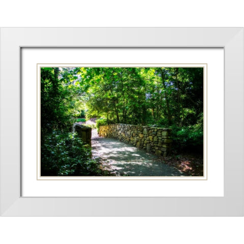 Shaded Bridge II White Modern Wood Framed Art Print with Double Matting by Hausenflock, Alan