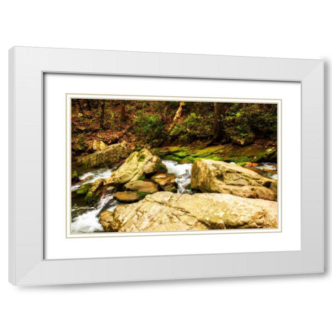 Covington Woods I White Modern Wood Framed Art Print with Double Matting by Hausenflock, Alan