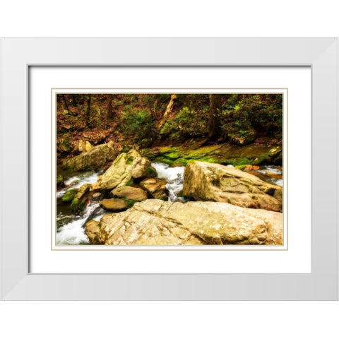 Covington Woods I White Modern Wood Framed Art Print with Double Matting by Hausenflock, Alan