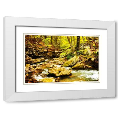 Covington Woods II White Modern Wood Framed Art Print with Double Matting by Hausenflock, Alan