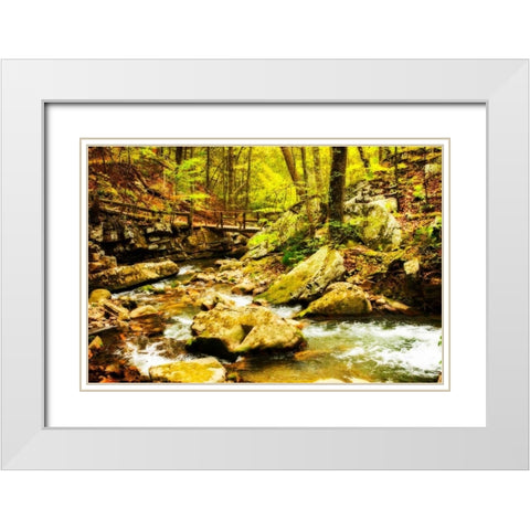 Covington Woods II White Modern Wood Framed Art Print with Double Matting by Hausenflock, Alan