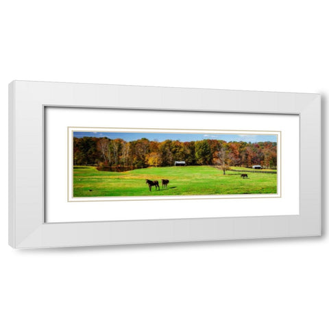 Virginia Horse Farm I White Modern Wood Framed Art Print with Double Matting by Hausenflock, Alan