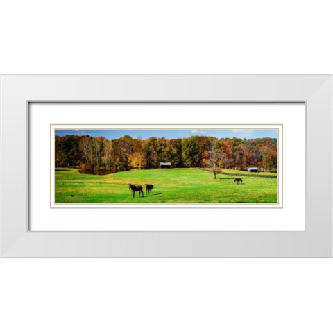 Virginia Horse Farm I White Modern Wood Framed Art Print with Double Matting by Hausenflock, Alan