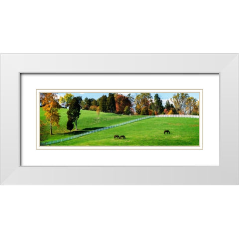 Virginia Horse Farm II White Modern Wood Framed Art Print with Double Matting by Hausenflock, Alan