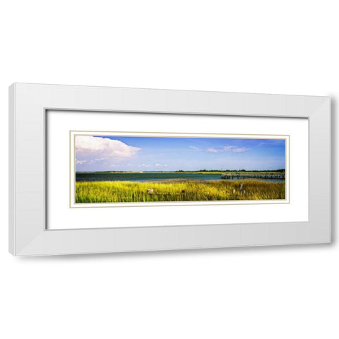 Newport River II White Modern Wood Framed Art Print with Double Matting by Hausenflock, Alan