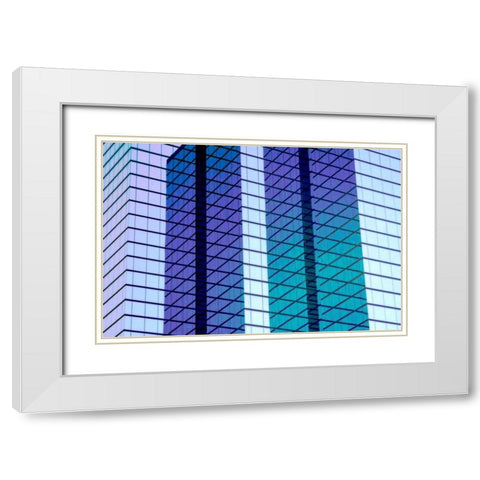 Glass and Steel II White Modern Wood Framed Art Print with Double Matting by Hausenflock, Alan