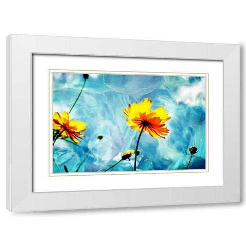 Reaching for the Sun III White Modern Wood Framed Art Print with Double Matting by Hausenflock, Alan