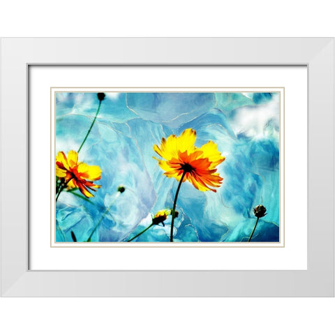 Reaching for the Sun III White Modern Wood Framed Art Print with Double Matting by Hausenflock, Alan