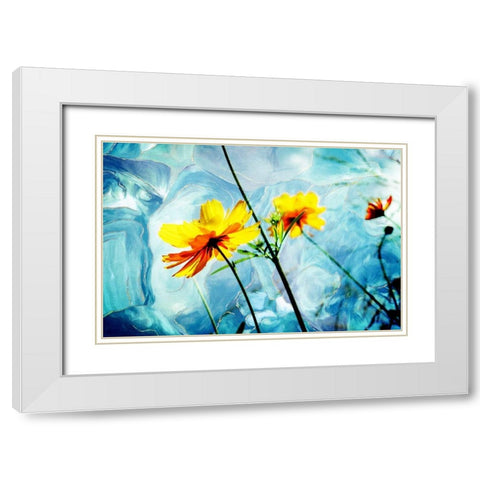 Reaching for the Sun IV White Modern Wood Framed Art Print with Double Matting by Hausenflock, Alan