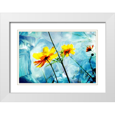 Reaching for the Sun IV White Modern Wood Framed Art Print with Double Matting by Hausenflock, Alan