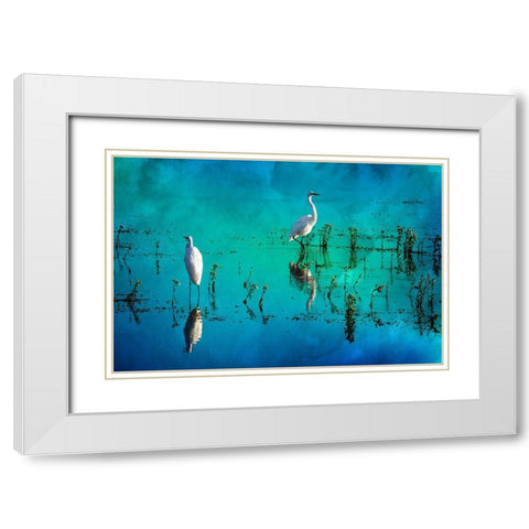 Wading Herons II White Modern Wood Framed Art Print with Double Matting by Hausenflock, Alan