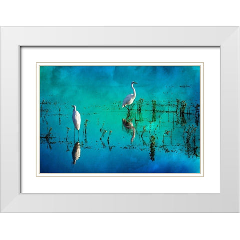 Wading Herons II White Modern Wood Framed Art Print with Double Matting by Hausenflock, Alan