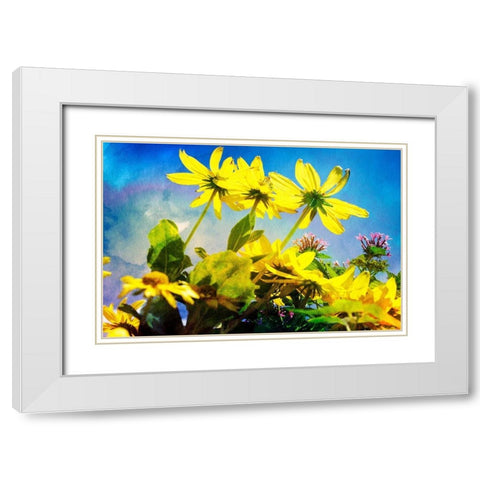 Flowers on Watercolor I White Modern Wood Framed Art Print with Double Matting by Hausenflock, Alan