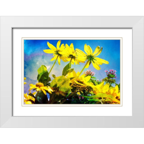 Flowers on Watercolor I White Modern Wood Framed Art Print with Double Matting by Hausenflock, Alan