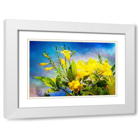 Flowers on Watercolor II White Modern Wood Framed Art Print with Double Matting by Hausenflock, Alan