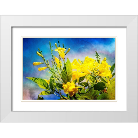 Flowers on Watercolor II White Modern Wood Framed Art Print with Double Matting by Hausenflock, Alan