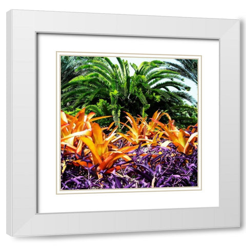 Tropical Garden I White Modern Wood Framed Art Print with Double Matting by Hausenflock, Alan