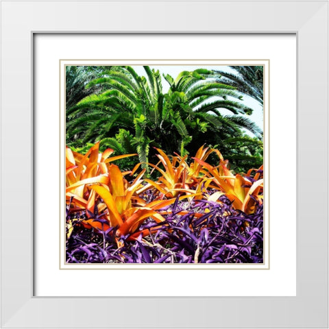 Tropical Garden I White Modern Wood Framed Art Print with Double Matting by Hausenflock, Alan