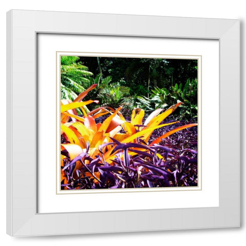 Tropical Garden II White Modern Wood Framed Art Print with Double Matting by Hausenflock, Alan