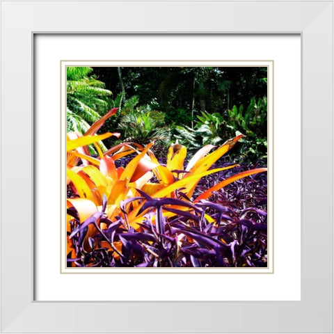 Tropical Garden II White Modern Wood Framed Art Print with Double Matting by Hausenflock, Alan