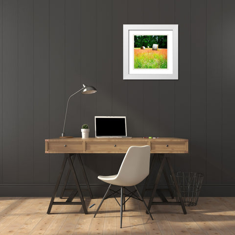 Spring Fields I White Modern Wood Framed Art Print with Double Matting by Hausenflock, Alan