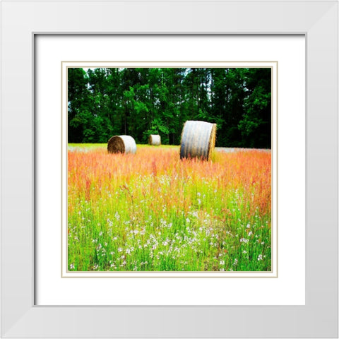 Spring Fields I White Modern Wood Framed Art Print with Double Matting by Hausenflock, Alan