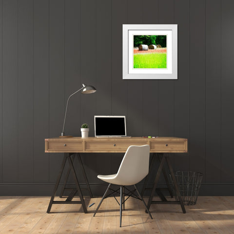 Spring Fields II White Modern Wood Framed Art Print with Double Matting by Hausenflock, Alan