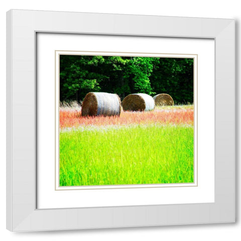 Spring Fields II White Modern Wood Framed Art Print with Double Matting by Hausenflock, Alan