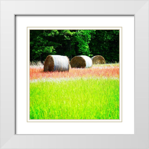 Spring Fields II White Modern Wood Framed Art Print with Double Matting by Hausenflock, Alan