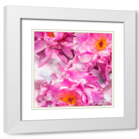 Pink Flowers I White Modern Wood Framed Art Print with Double Matting by Hausenflock, Alan