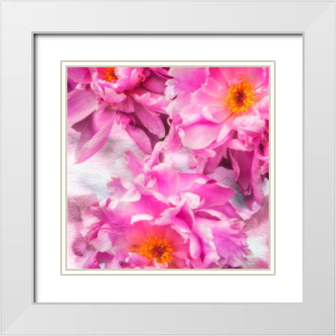 Pink Flowers I White Modern Wood Framed Art Print with Double Matting by Hausenflock, Alan