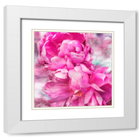Pink Flowers II White Modern Wood Framed Art Print with Double Matting by Hausenflock, Alan