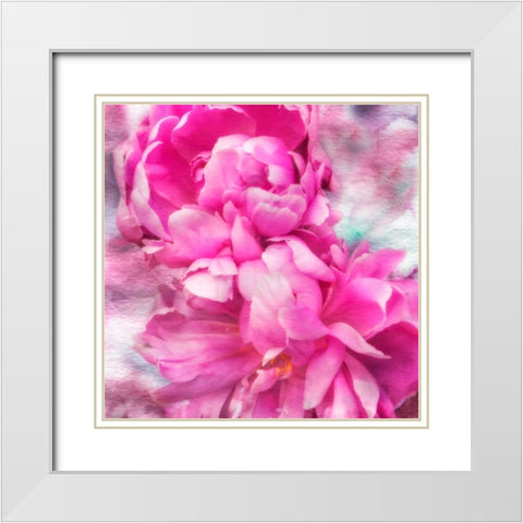 Pink Flowers II White Modern Wood Framed Art Print with Double Matting by Hausenflock, Alan