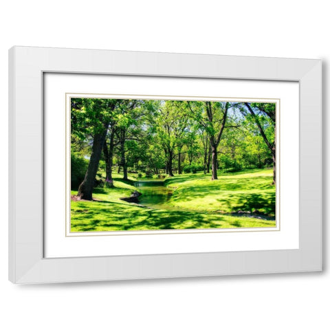 Gentle Stream I White Modern Wood Framed Art Print with Double Matting by Hausenflock, Alan