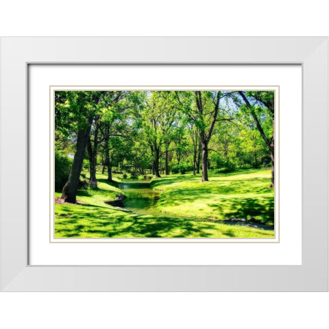 Gentle Stream I White Modern Wood Framed Art Print with Double Matting by Hausenflock, Alan