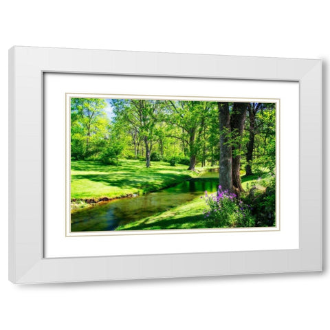 Gentle Stream II White Modern Wood Framed Art Print with Double Matting by Hausenflock, Alan